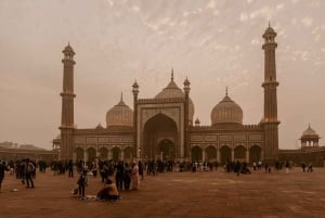 Delhi : visite d'une jounée à pied et en voiture avec guide