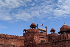 Delhi : visite d'une jounée à pied et en voiture avec guide