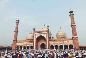 Delhi : visite d'une jounée à pied et en voiture avec guide