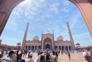 DELHI: tour guidato privato della vecchia e della nuova Delhi con ingressi