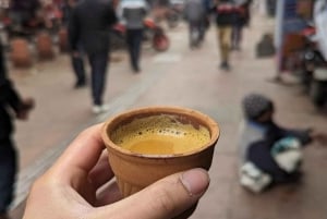 DELHI: Old And New Delhi Private Guided Tour With Entrances