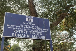 DELHI: tour guidato privato della vecchia e della nuova Delhi con ingressi