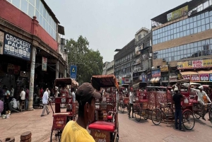 DELHI: tour guidato privato della vecchia e della nuova Delhi con ingressi