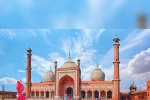 Delhi: Oud en Nieuw Delhi Privérondleiding met ophaalservice