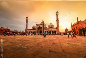 Delhi: Oud en Nieuw Delhi Privérondleiding met ophaalservice