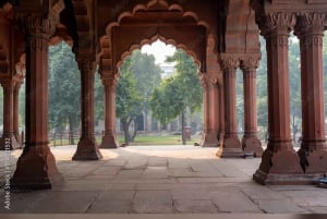 Delhi: Halv- eller heldagstur privat guidet tur i Old & New Delhi