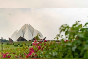 Delhi: Halv- eller heldagstur privat guidet tur i Old & New Delhi