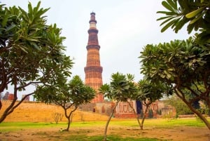 Delhi: Alt- und Neu-Delhi Private geführte Tour
