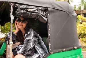 Delhi: Alt- und Neu-Delhi Private geführte Tour