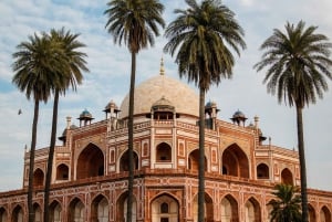 Delhi: tour guidato privato della vecchia e della nuova Delhi