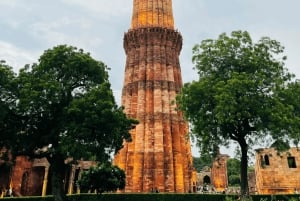 Delhi: tour guidato privato della vecchia e della nuova Delhi
