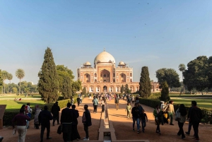 Delhi: Vecchia e Nuova Delhi Tour privato di mezza giornata o di un giorno intero della città