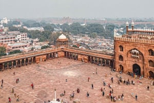 Delhi: Private Tour durch Alt- und Neu-Delhi