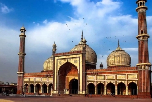 Delhi: Old and New Delhi Private One Day Tour