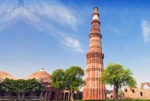 Delhi: tour privato di un giorno della vecchia e nuova Delhi