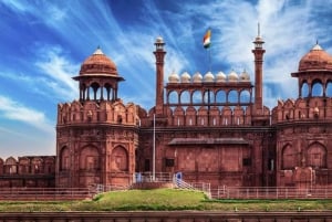 Delhi: tour privato di un giorno della vecchia e nuova Delhi