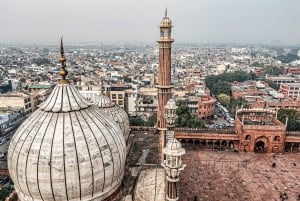 Delhi: privat sightseeingtur i gamla och nya Delhi