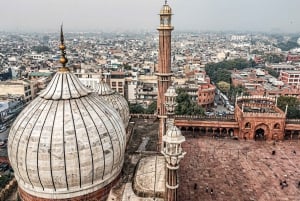Дели: частная обзорная экскурсия по Старому и Новому Дели