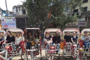 Delhi: Old and New Delhi Private Tour: Full-Day or Half-Day