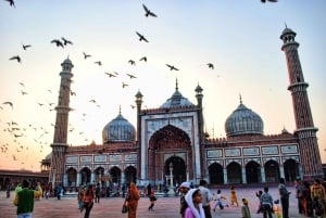 Delhi: Old and New Delhi Private Tour: Full-Day or Half-Day