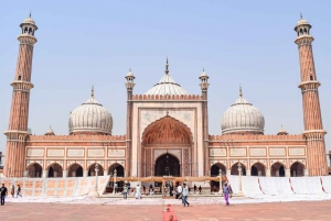 Delhi: Private Old & New Delhi Tour – Half or Full Day