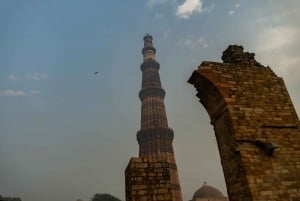 Delhi: tour privato di un giorno o di mezza giornata della Vecchia e Nuova Delhi
