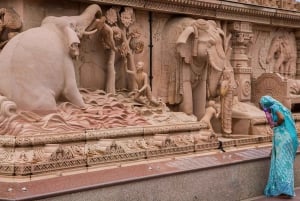 Deli: Visita à Velha Deli, ao Templo de Akshardham e ao espetáculo de luzes