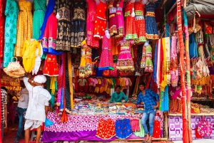 Delhi: tour della vecchia Delhi, del tempio di Akshardham e dello spettacolo di luci