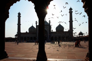 Delhi: tour della vecchia Delhi, del tempio di Akshardham e dello spettacolo di luci