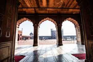 Delhi: tour della vecchia Delhi, del tempio di Akshardham e dello spettacolo di luci