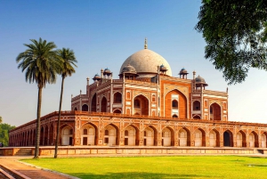 Delhi: Privat dagstur med guide til Old Delhi og New Delhi City