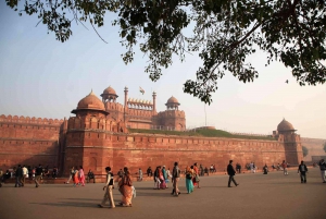 Delhi: Alt-Delhi-Stadtrundfahrt mit Tuk-Tuk-Fahrt & Street Food