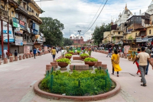 Delhi: Alt-Delhi-Stadtrundfahrt mit Tuk-Tuk-Fahrt & Street Food