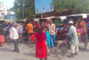 Delhi: Stadstur i gamle Delhi med Tuk Tuk-tur og gatemat