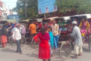 Delhi: tour della città vecchia di Delhi con giro in tuk-tuk e cibo di strada