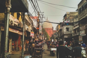 Delhi: Old Delhi Highlighs Tuk Tuk Tour med guide