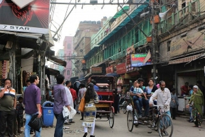 Delhi: Old Delhi Highlighs Tuk Tuk Tour med guide