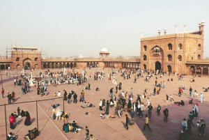 Delhi: tour guiado pela cidade velha com passeio de riquixá e serviço de busca