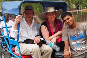 Delhi: Tour durch Alt-Delhi mit Rikscha-Fahrt und Abholung vom Hotel