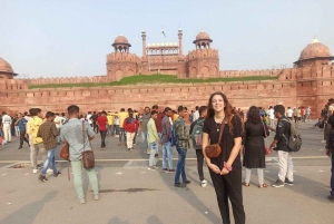 Delhi: Vanhan Delhin kävelykierros riksa-ajelulla