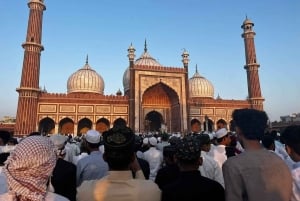 Delhi: Privat byrundtur i det gamle og nye Delhi – hel- og halvdagsrundtur