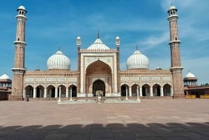 Delhi: Privat byrundtur i det gamle og nye Delhi – hel- og halvdagsrundtur