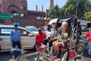 Delhi: Wycieczka prywatna całodniowa z przewodnikiem po starym i nowym Delhi