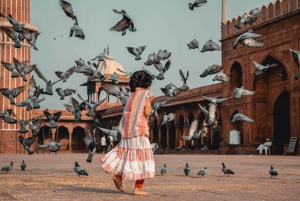 Delhi: Wycieczka prywatna całodniowa z przewodnikiem po starym i nowym Delhi