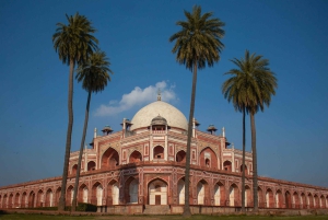 Delhi: tour privato di un giorno della città vecchia e nuova in auto