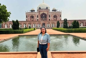 Delhi: Excursão guiada particular de 1 dia ou meio dia pela Velha e Nova Deli
