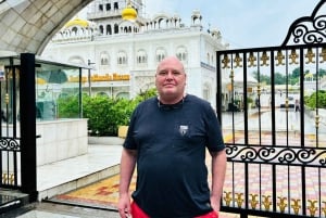 Delhi: Excursão guiada particular de 1 dia ou meio dia pela Velha e Nova Deli