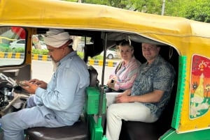 Delhi: Excursão guiada particular de 1 dia ou meio dia pela Velha e Nova Deli