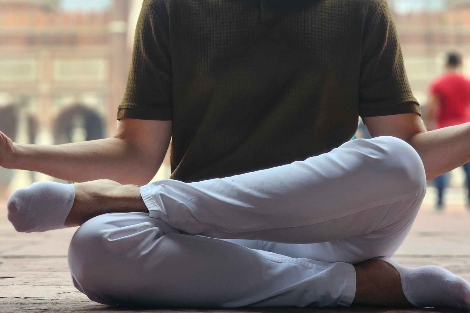 Delhi: Opastettu kierros vanhassa ja uudessa Delhissä, katukeittiön ruokia ja mausteita