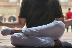 Delhi: Opastettu kierros vanhassa ja uudessa Delhissä, katukeittiön ruokia ja mausteita